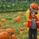 Cedar Circle Farm photo