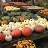 Cedar Circle Farm photo
