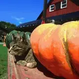 Cedar Circle Farm photo