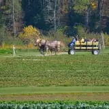 Cedar Circle Farm photo