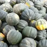Cedar Circle Farm photo