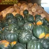 Cedar Circle Farm photo