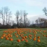 Cedar Circle Farm photo