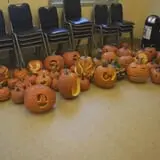 Cedar Circle Farm photo