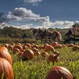Cedar Circle Farm photo