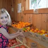Cedar Circle Farm photo