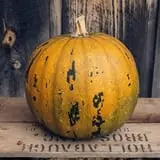 Cedar Circle Farm photo