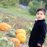 Cedar Circle Farm photo