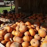 Cedar Circle Farm photo