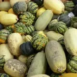 Cedar Circle Farm photo