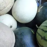 Cedar Circle Farm photo