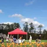 Cedar Circle Farm photo