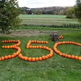 Cedar Circle Farm photo