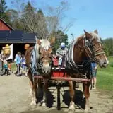 Cedar Circle Farm photo