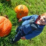 Cedar Circle Farm photo