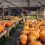 Cedar Circle Farm photo