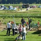 Cedar Circle Farm photo
