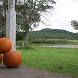 Cedar Circle Farm photo