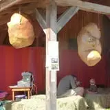 Cedar Circle Farm photo