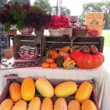 Cedar Circle Farm photo