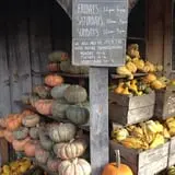 Cedar Circle Farm photo