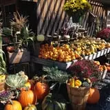 Cedar Circle Farm photo