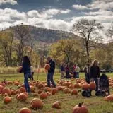 Cedar Circle Farm photo