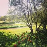 Cedar Circle Farm photo
