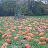 Cedar Circle Farm photo