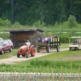 Cedar Circle Farm photo