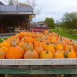 Cedar Circle Farm photo