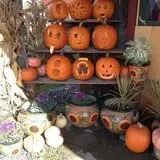 Cedar Circle Farm photo