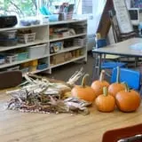 Cedar Circle Farm photo