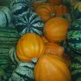 Cedar Circle Farm photo