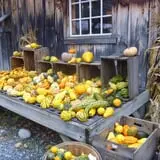 Cedar Circle Farm photo