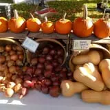 Cedar Circle Farm photo