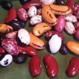 Cedar Circle Farm photo