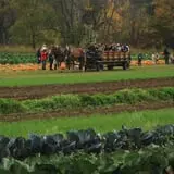 Cedar Circle Farm photo