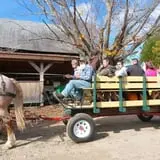 Cedar Circle Farm photo