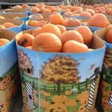 Brooksby Farm photo