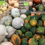 Brooksby Farm photo