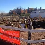Brooksby Farm photo