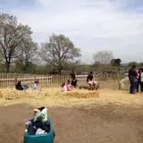 Brooksby Farm photo