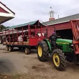 Brooksby Farm photo