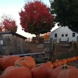 Brooksby Farm photo