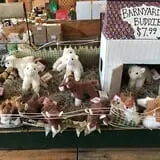 Brooksby Farm photo