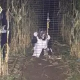 Devine's Corn Maze & Pumpkin Patch photo