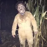 Devine's Corn Maze & Pumpkin Patch photo