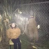 Devine's Corn Maze & Pumpkin Patch photo