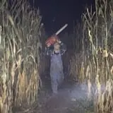Devine's Corn Maze & Pumpkin Patch photo